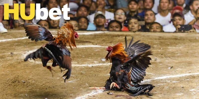 Sảnh Digmaan có nhiều quy định nghiêm ngặt